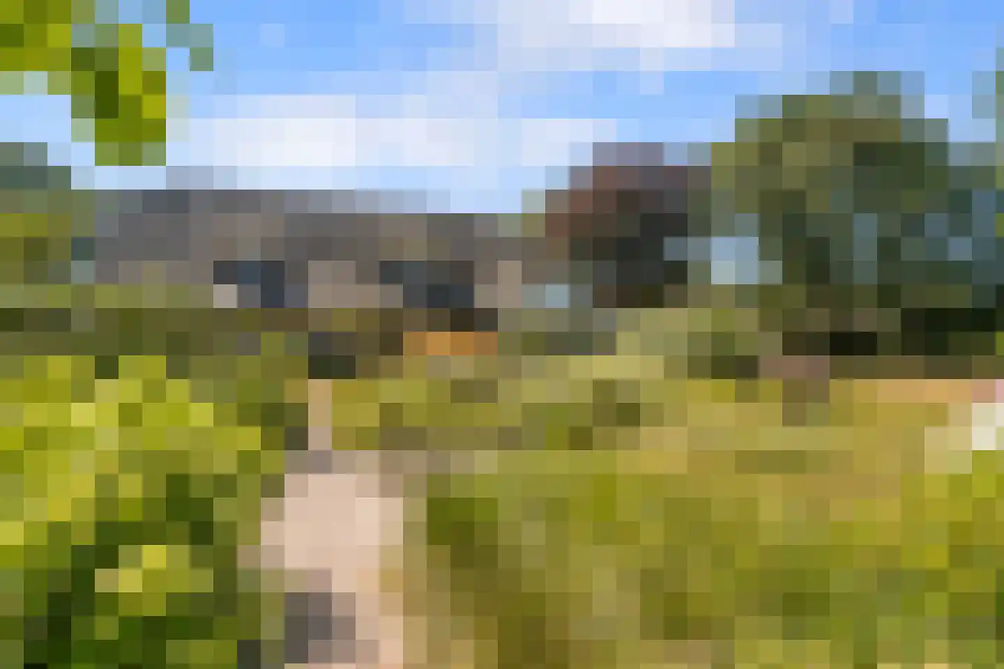 Sprundelsebaan 336 Etten-Leur thumbnail 38