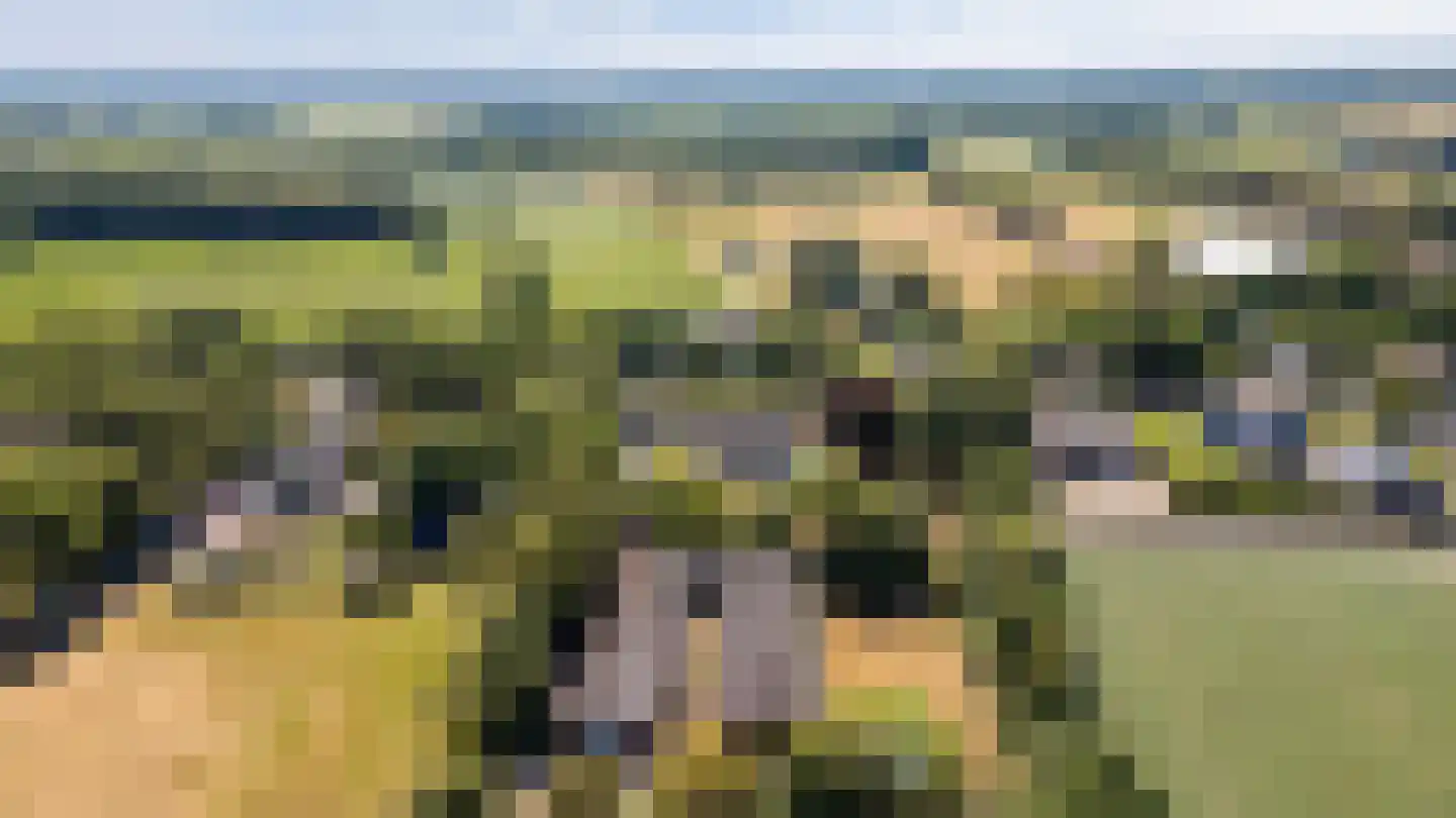 Sprundelsebaan 336 Etten-Leur thumbnail 41