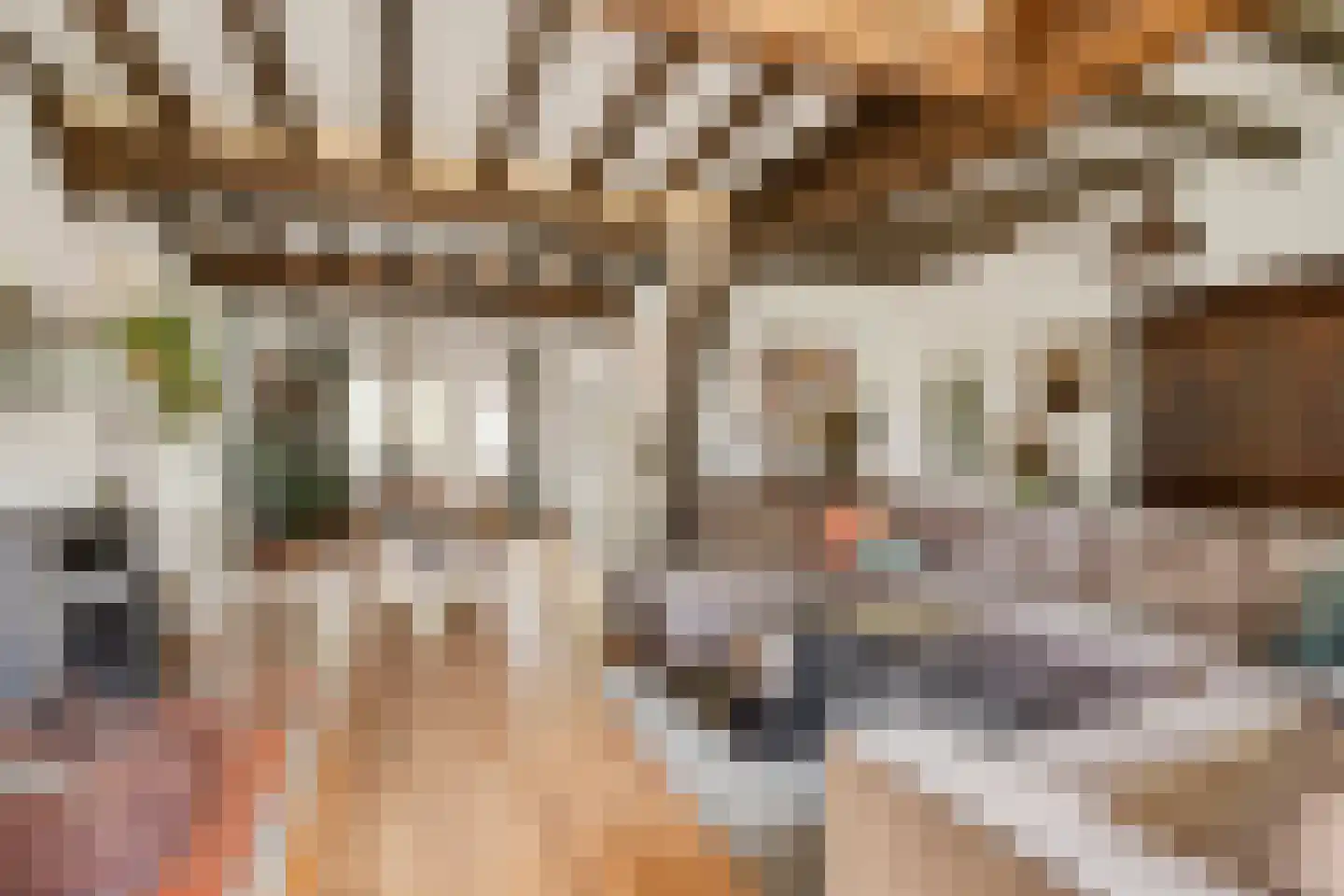 Sprundelsebaan 336 Etten-Leur thumbnail 5