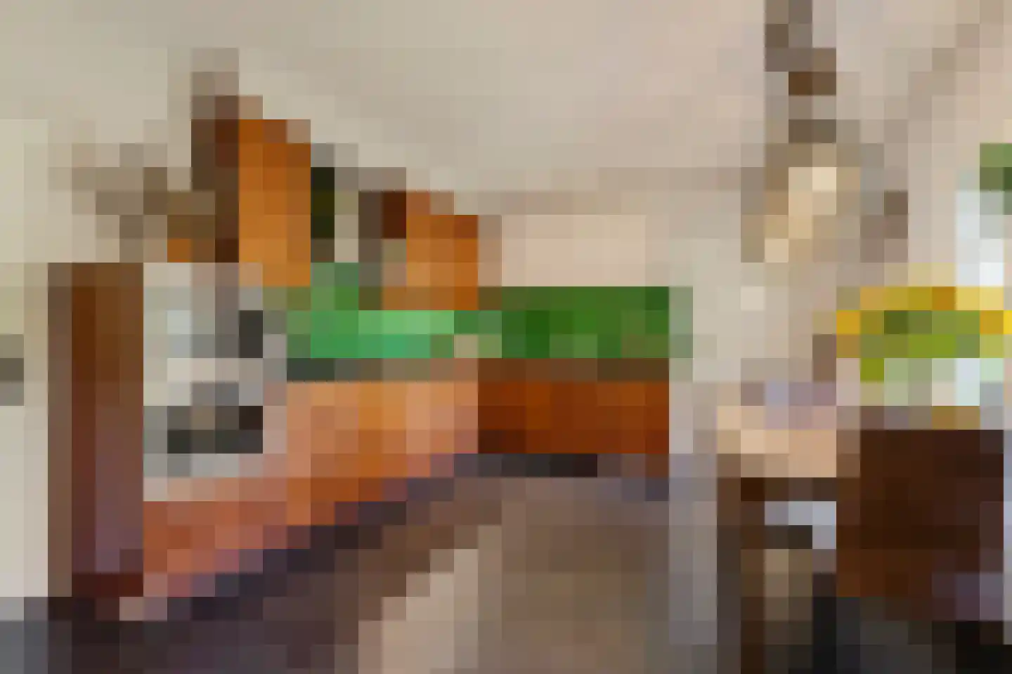Sprundelsebaan 336 Etten-Leur thumbnail 7