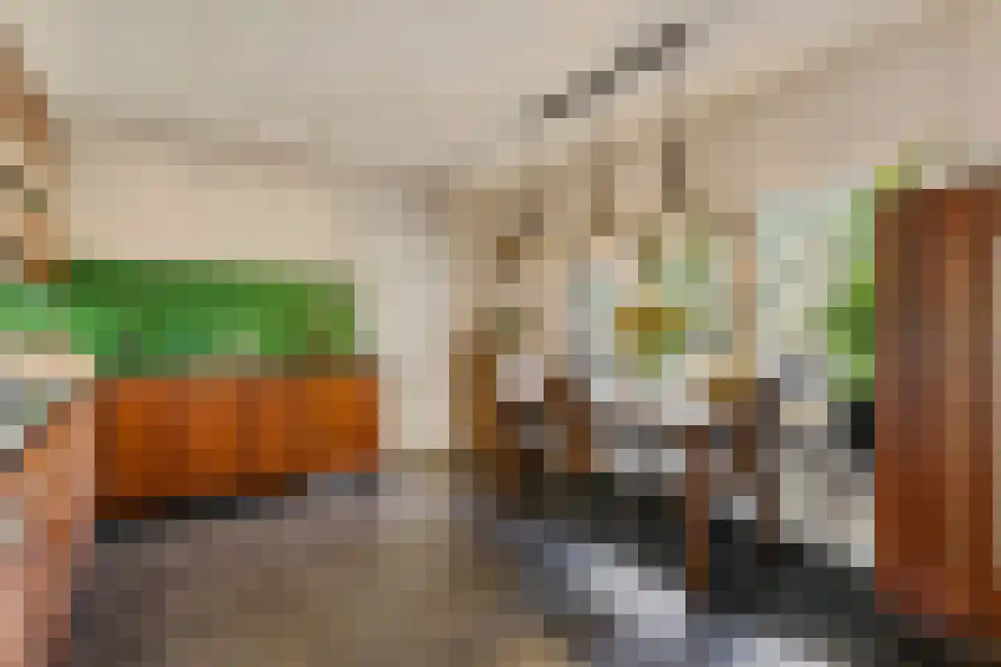 Sprundelsebaan 336 Etten-Leur thumbnail 8