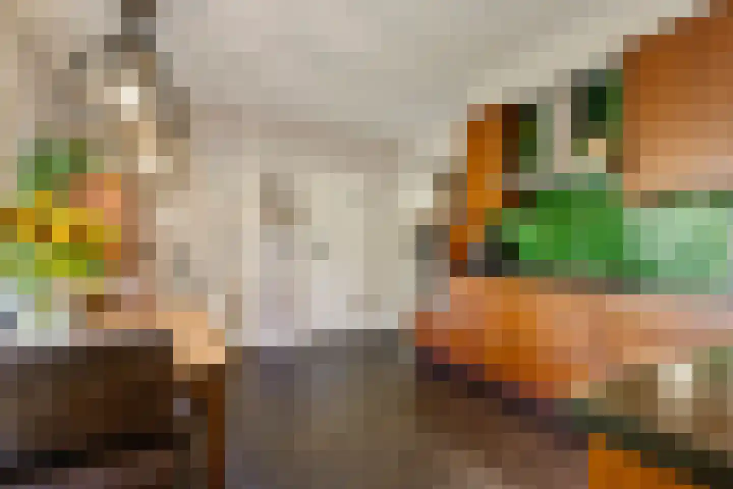 Sprundelsebaan 336 Etten-Leur thumbnail 9