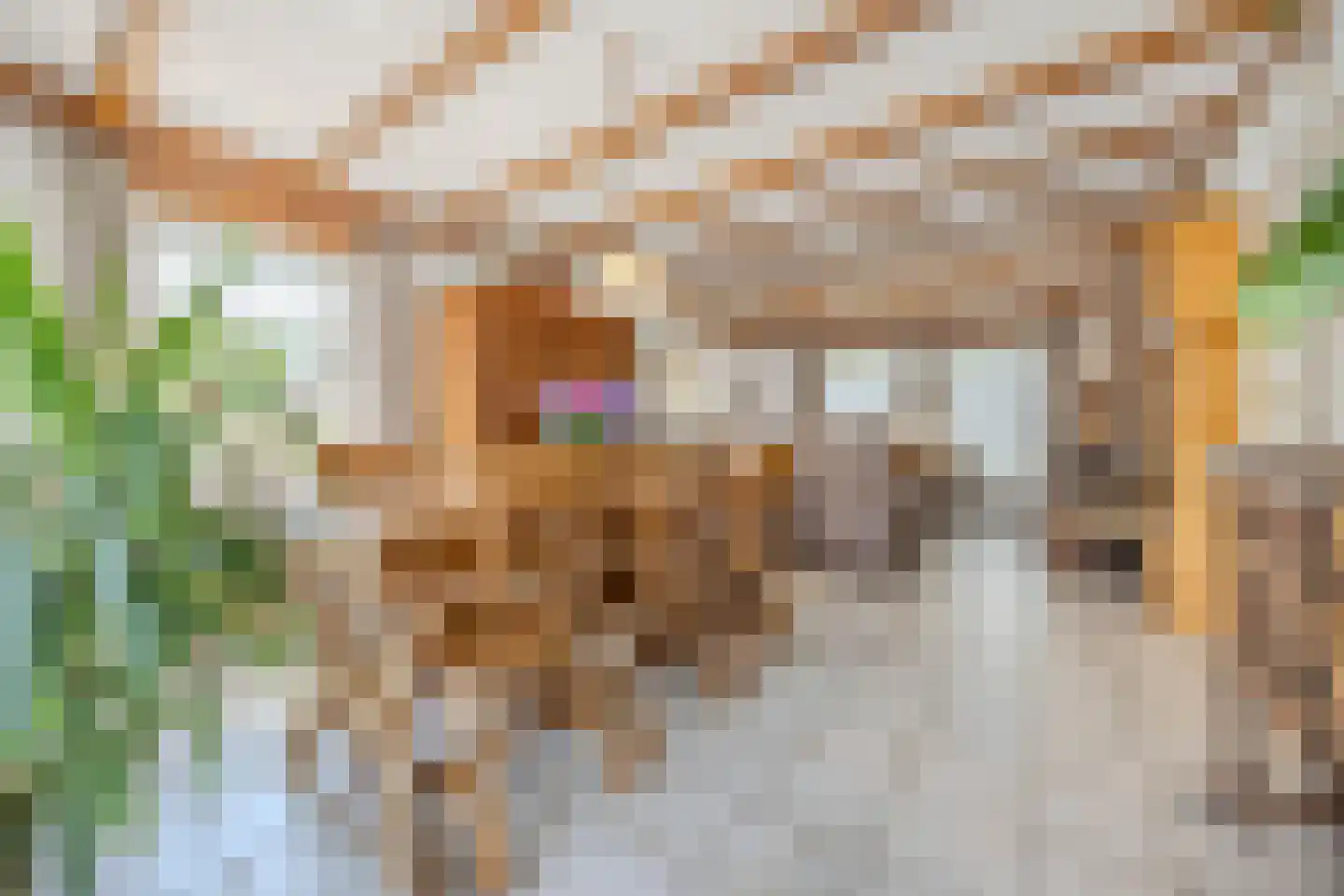 Sprundelsebaan 95 Breda thumbnail 10