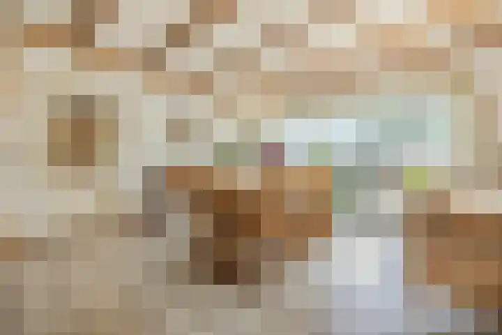 Sprundelsebaan 95 Breda thumbnail 11