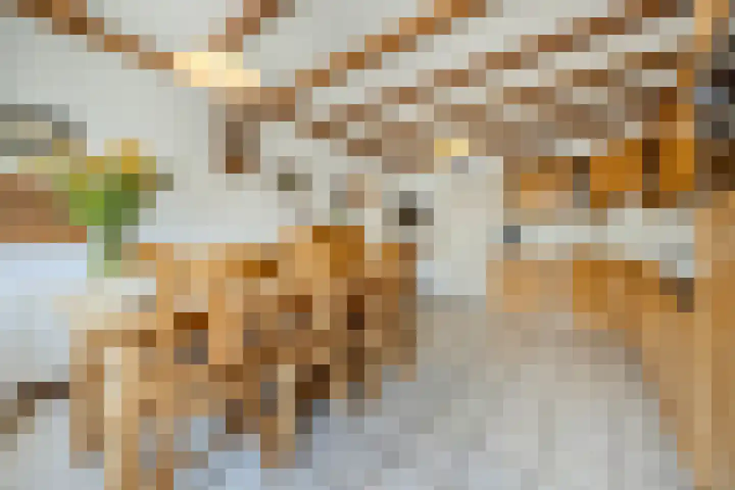 Sprundelsebaan 95 Breda thumbnail 14