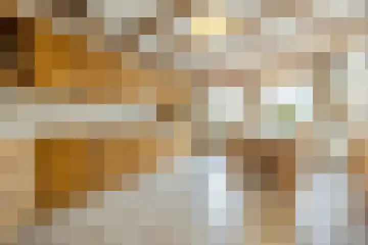 Sprundelsebaan 95 Breda thumbnail 15