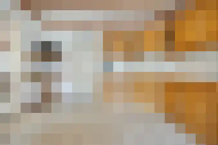 Sprundelsebaan 95 Breda thumbnail 16
