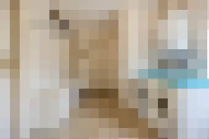 Sprundelsebaan 95 Breda thumbnail 17