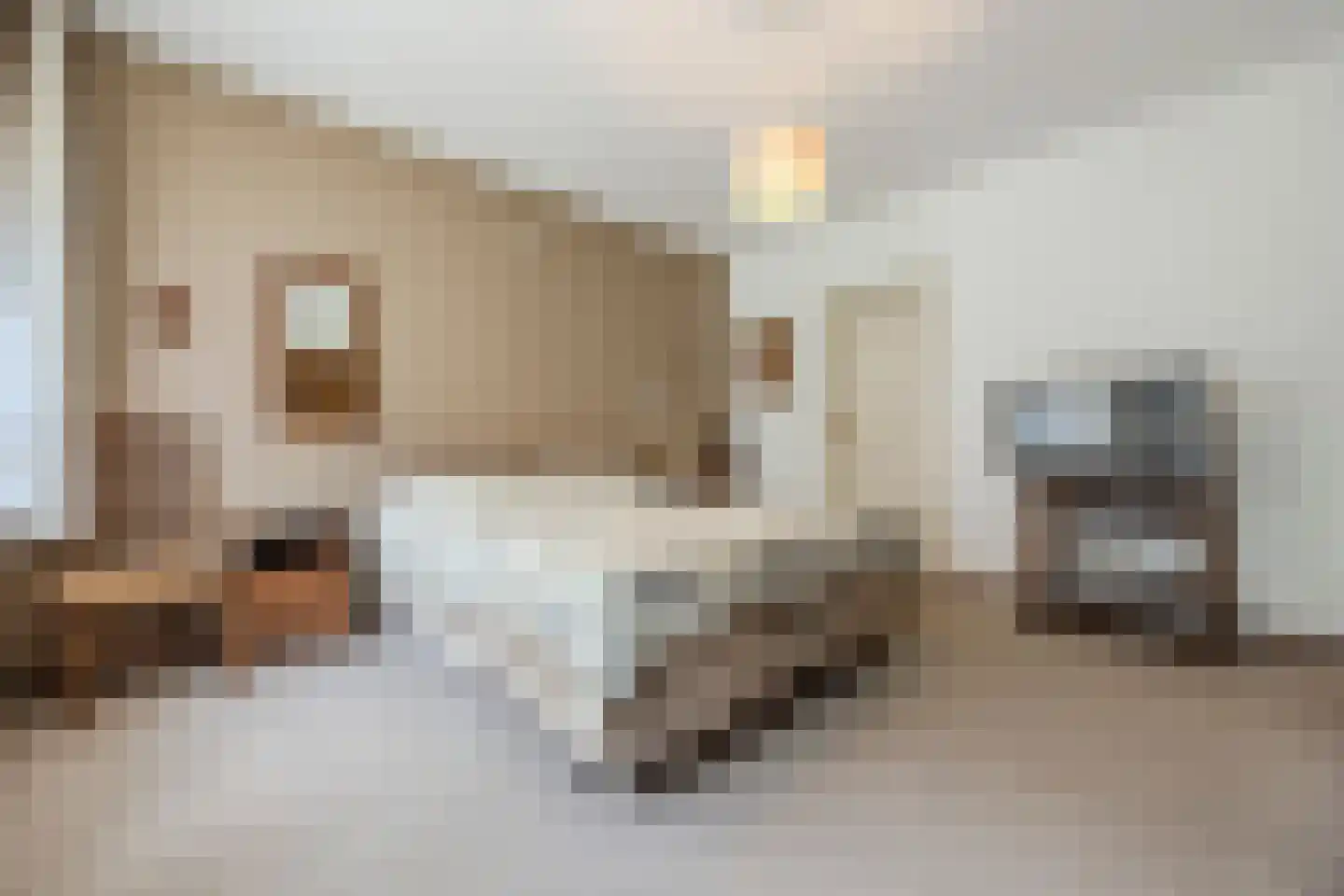 Sprundelsebaan 95 Breda thumbnail 20