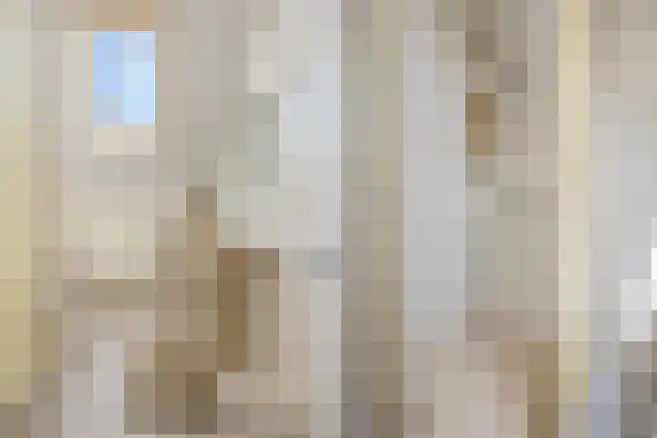 Sprundelsebaan 95 Breda thumbnail 24