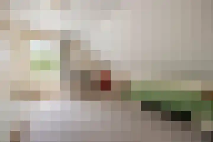 Sprundelsebaan 95 Breda thumbnail 25