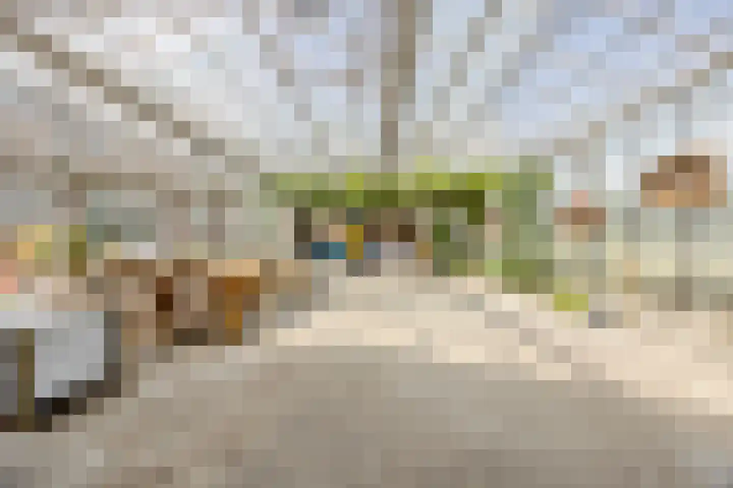 Sprundelsebaan 95 Breda thumbnail 27