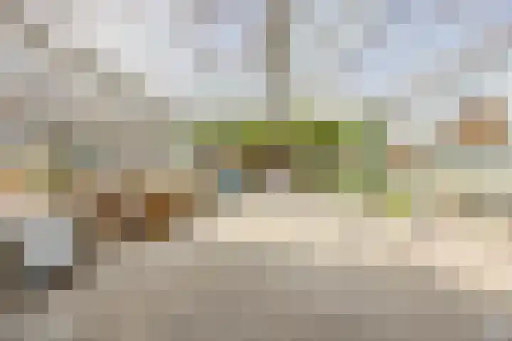 Sprundelsebaan 95 Breda thumbnail 27