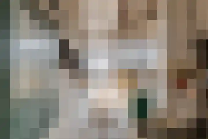 Sprundelsebaan 95 Breda thumbnail 29