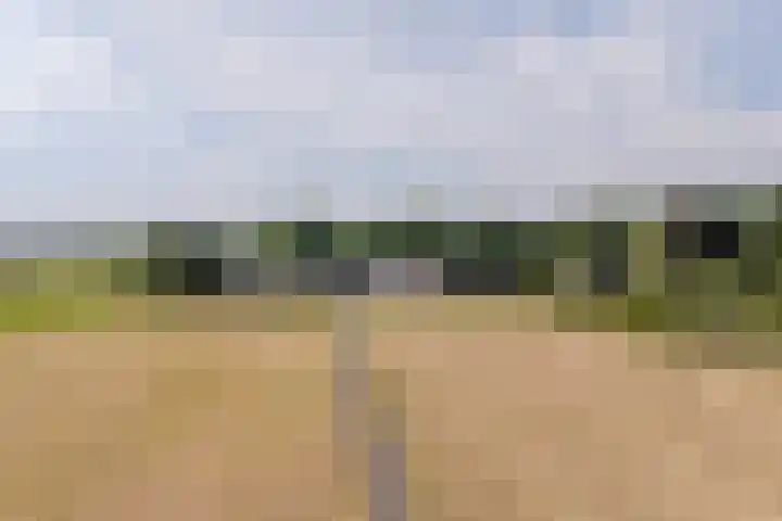 Sprundelsebaan 95 Breda thumbnail 30
