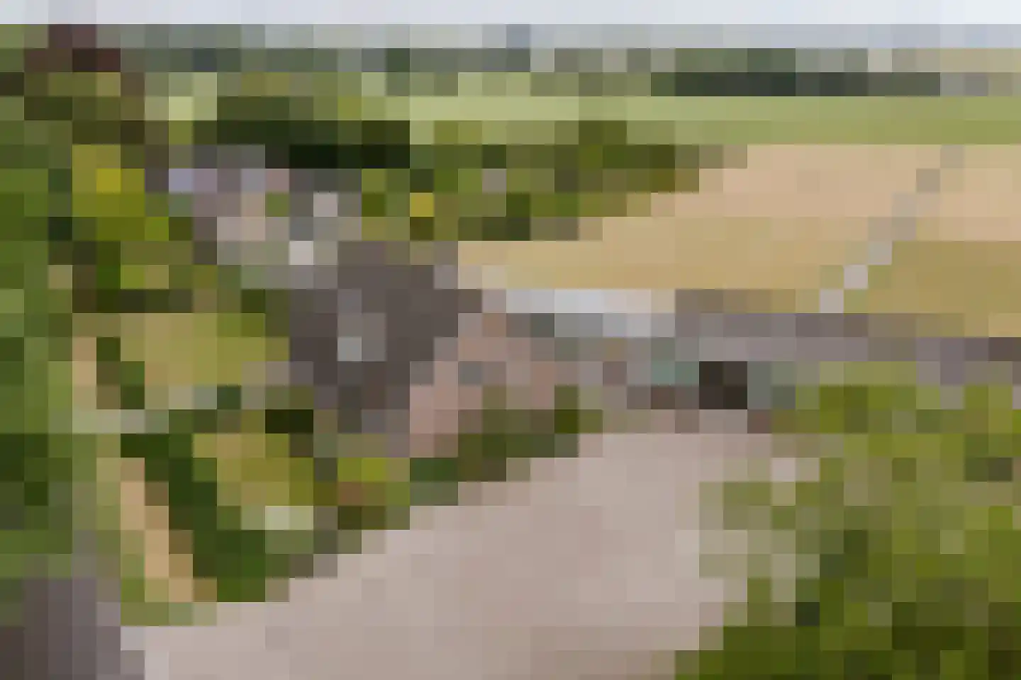 Sprundelsebaan 95 Breda thumbnail 31