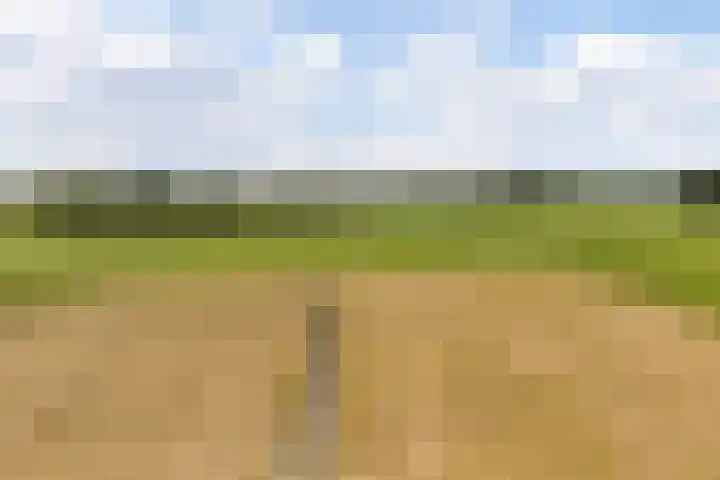 Sprundelsebaan 95 Breda thumbnail 32