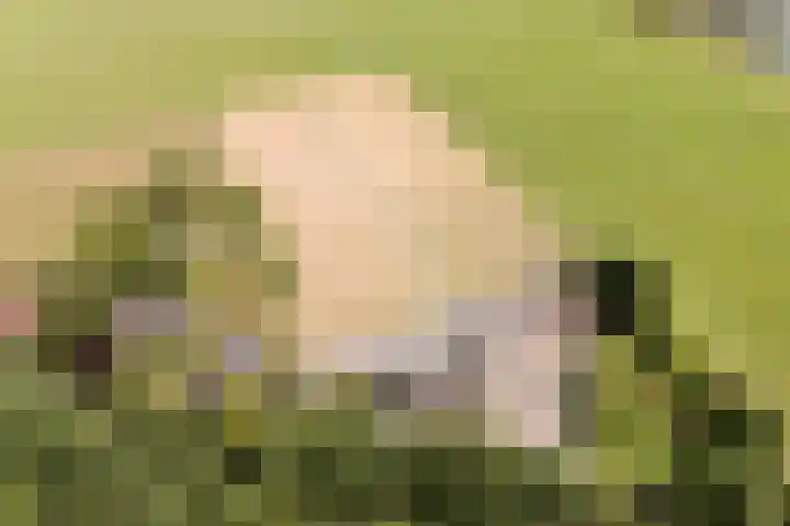 Sprundelsebaan 95 Breda thumbnail 33