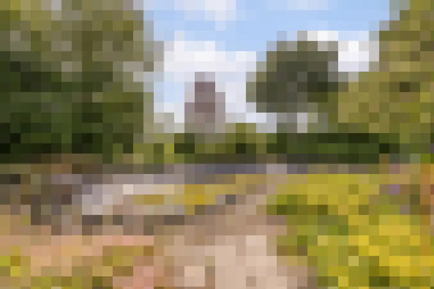 Sprundelsebaan 95 Breda thumbnail 34