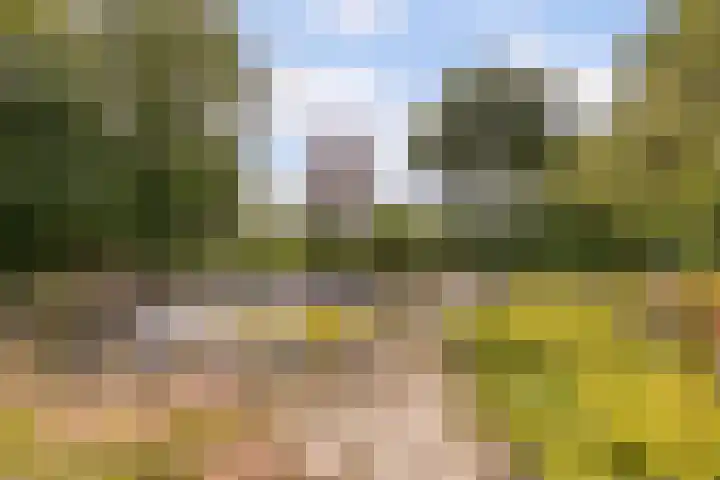 Sprundelsebaan 95 Breda thumbnail 34