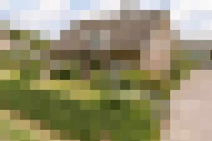 Sprundelsebaan 95 Breda thumbnail 37