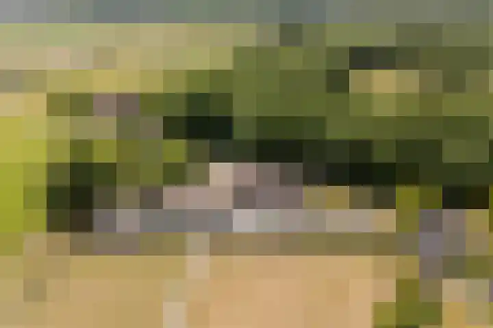 Sprundelsebaan 95 Breda thumbnail 38