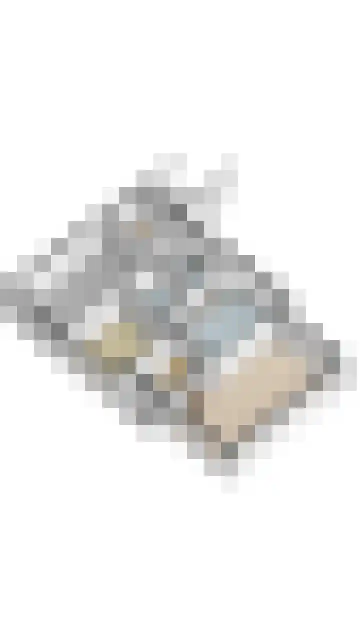 Sprundelsebaan 95 Breda thumbnail 39