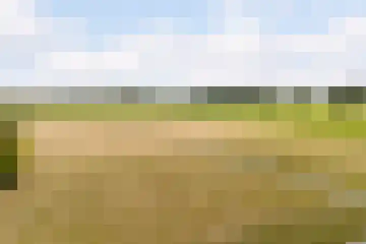 Sprundelsebaan 95 Breda thumbnail 5