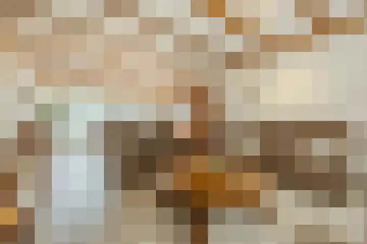 Sprundelsebaan 95 Breda thumbnail 8