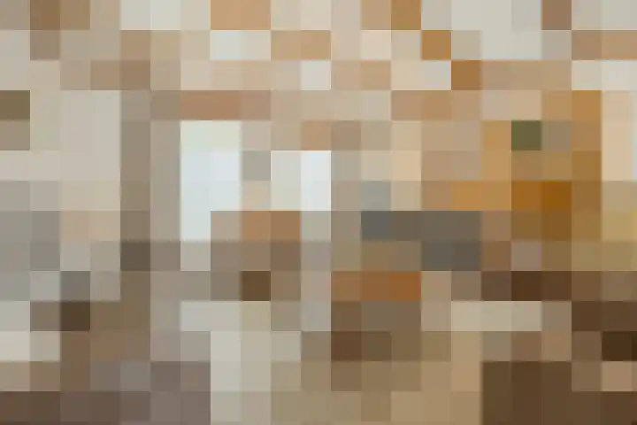 Sprundelsebaan 95 Breda thumbnail 9