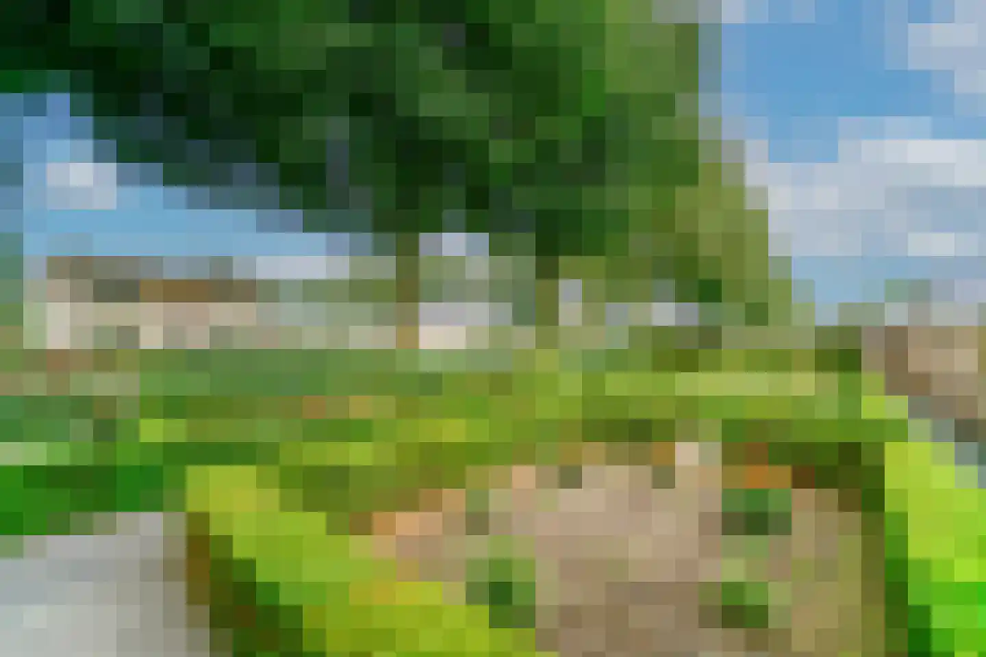 Sprundelseweg 29 A Rucphen thumbnail 46