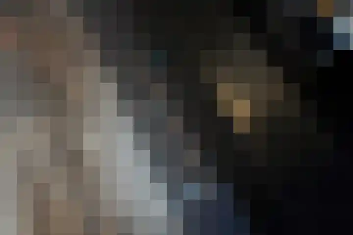 Spruytengoed 21 Putten thumbnail 11