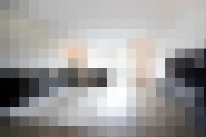 Spruytengoed 21 Putten thumbnail 16