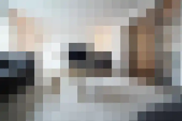 Spruytengoed 21 Putten thumbnail 26