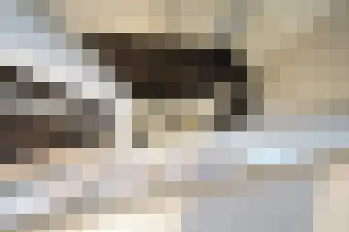 Spruytengoed 21 Putten thumbnail 41
