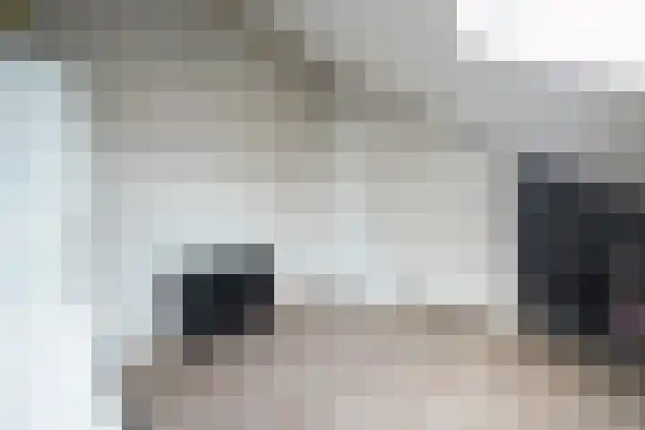 Spruytengoed 21 Putten thumbnail 48
