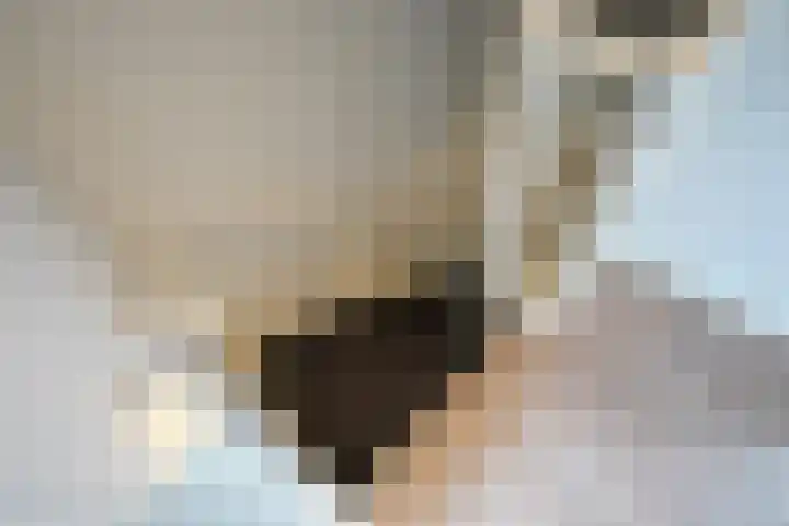 Spruytengoed 21 Putten thumbnail 49