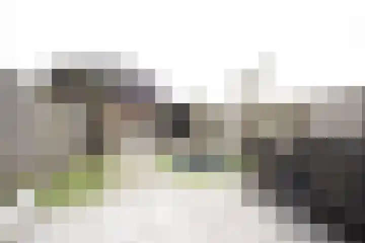Spruytengoed 21 Putten thumbnail 51