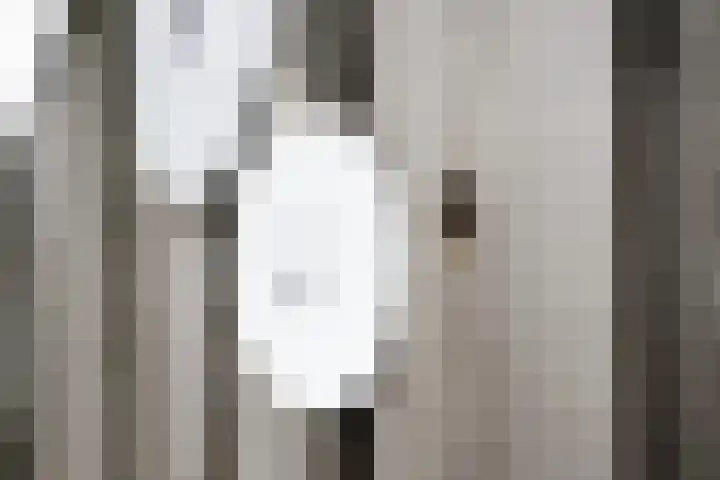 Spruytengoed 21 Putten thumbnail 52