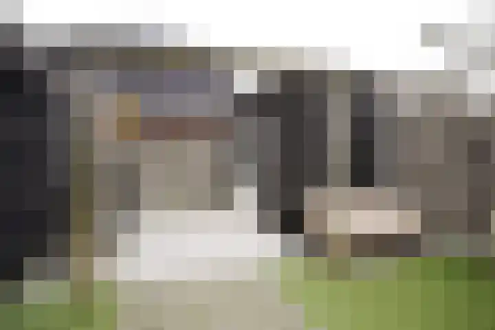 Spruytengoed 21 Putten thumbnail 53