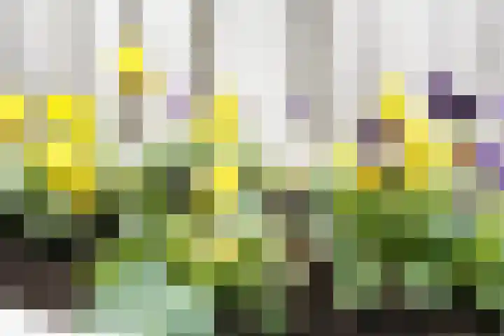 Spruytengoed 21 Putten thumbnail 54