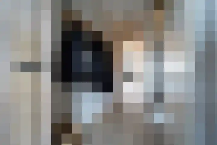 Spruytengoed 21 Putten thumbnail 6