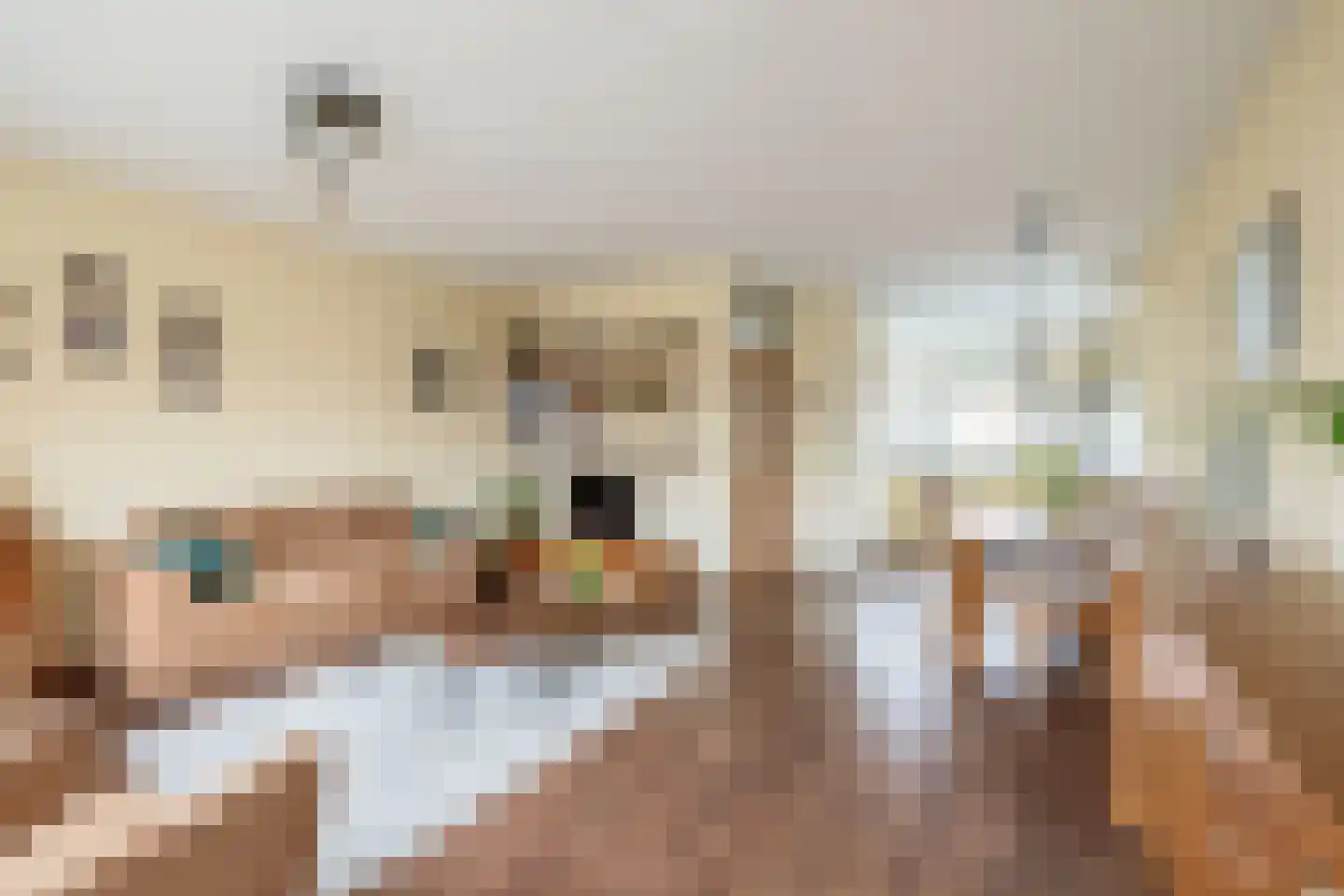 Spui 12 Waddinxveen thumbnail 10