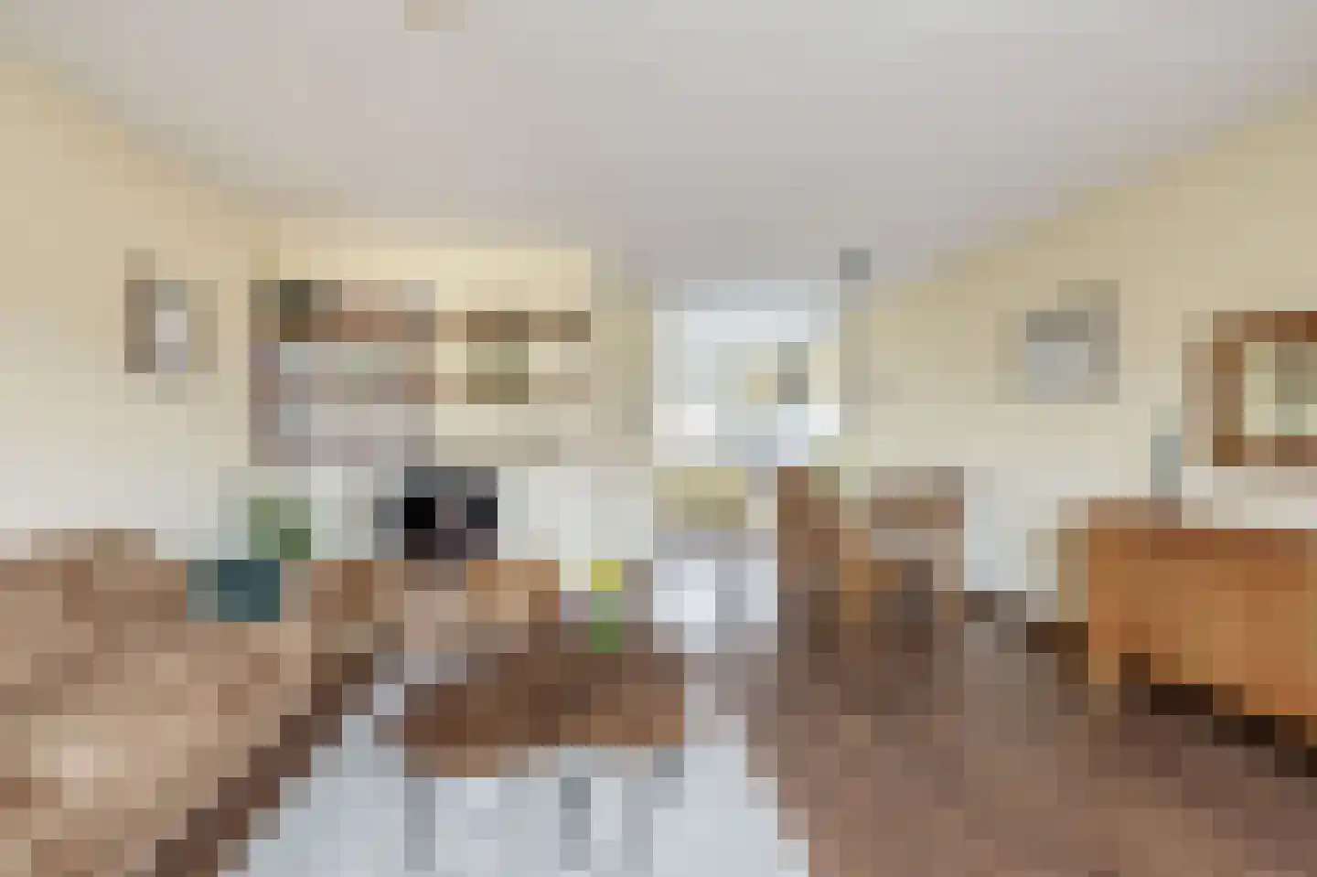 Spui 12 Waddinxveen thumbnail 11