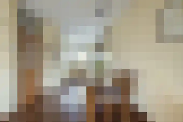 Spui 12 Waddinxveen thumbnail 12