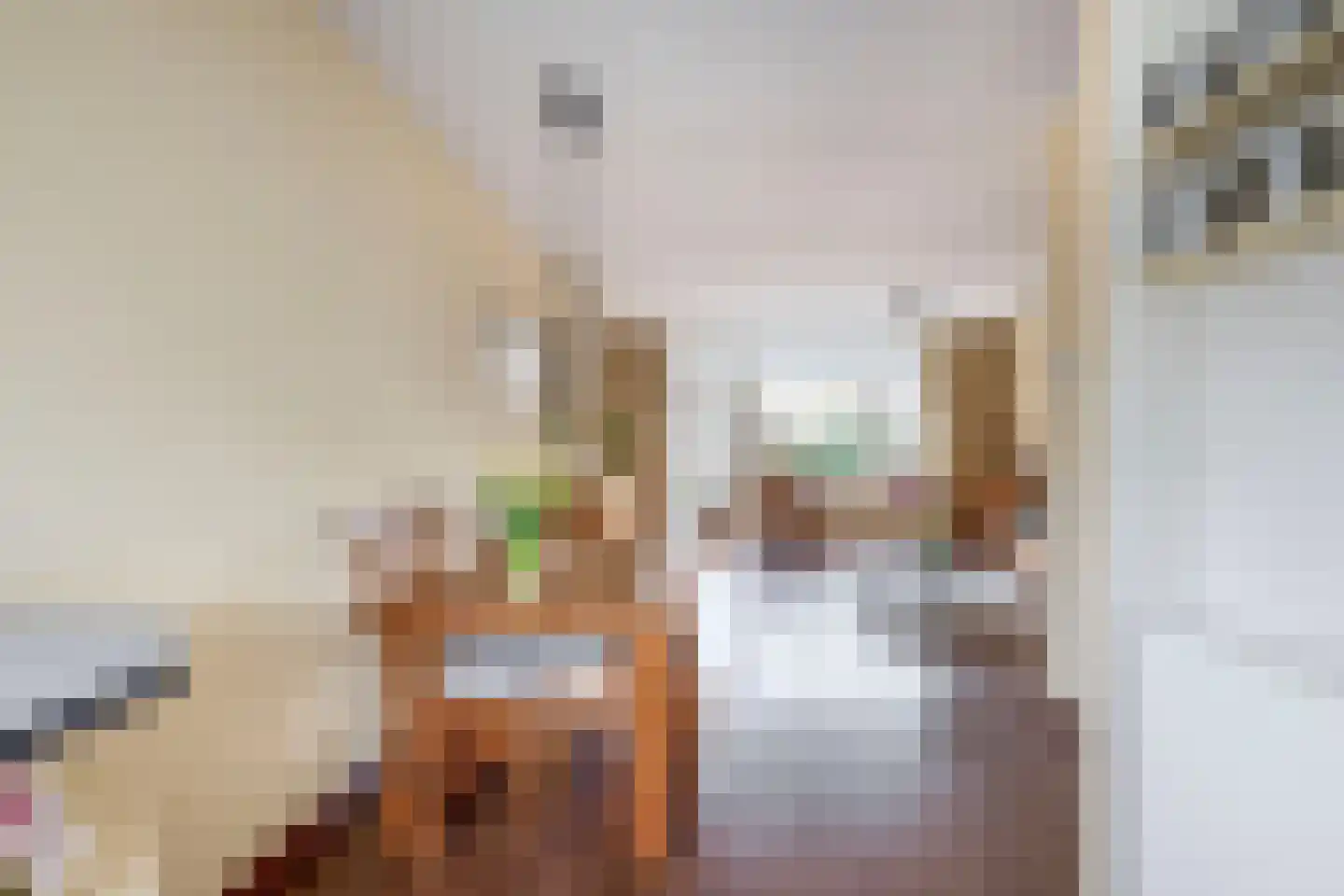 Spui 12 Waddinxveen thumbnail 13