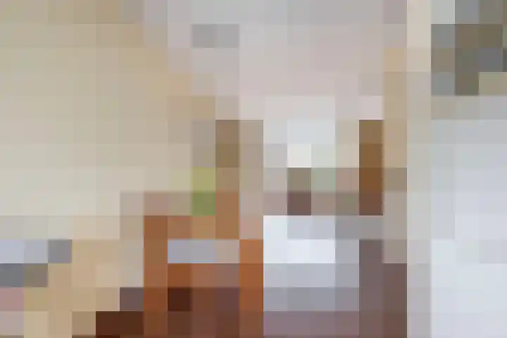 Spui 12 Waddinxveen thumbnail 13