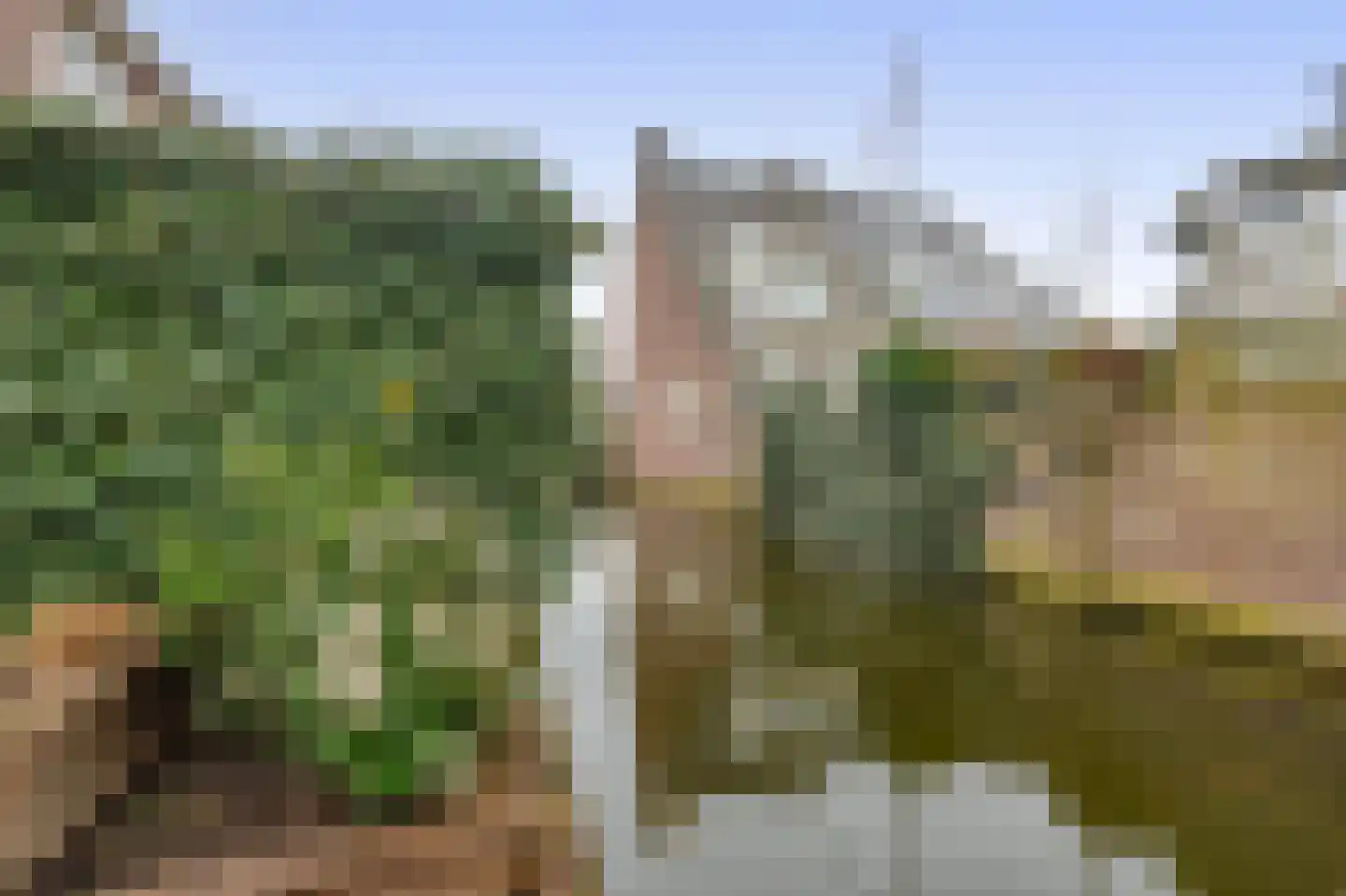 Spui 12 Waddinxveen thumbnail 19
