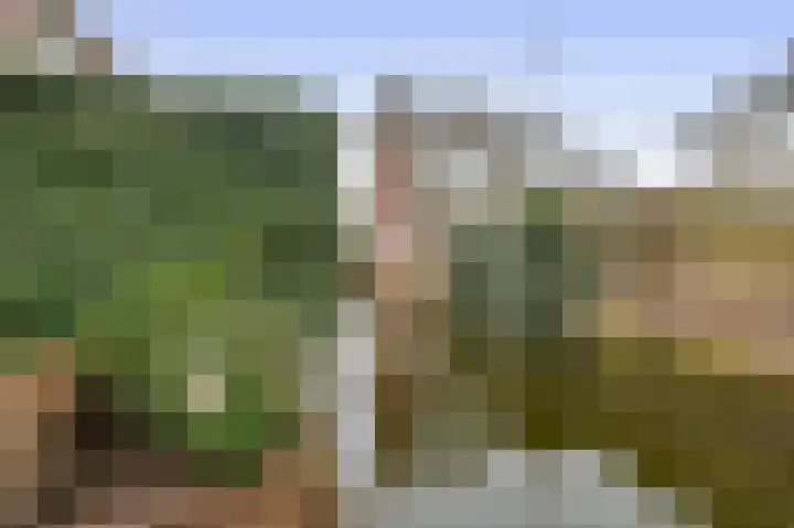 Spui 12 Waddinxveen thumbnail 19