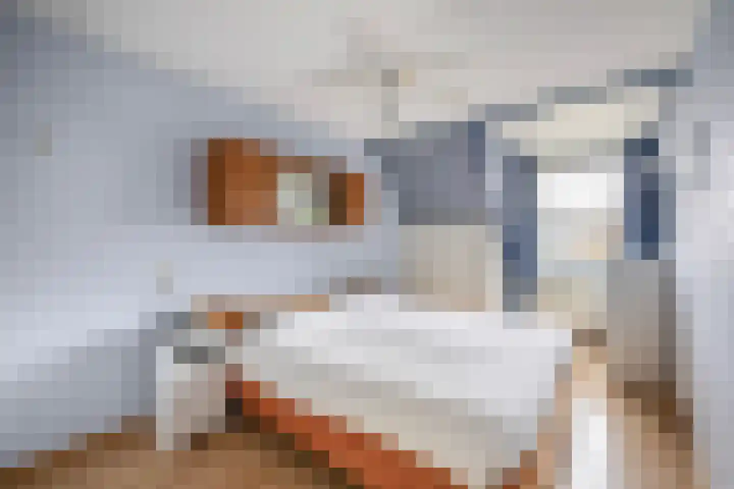 Spui 12 Waddinxveen thumbnail 22